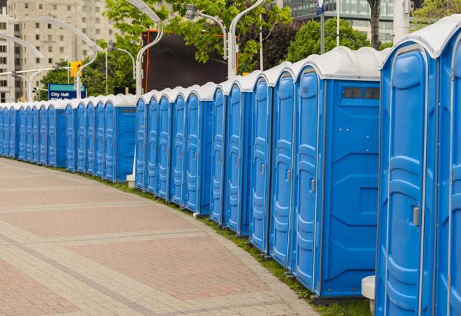 Seasonal porta potty units set up at a Maysville, Kentucky venue